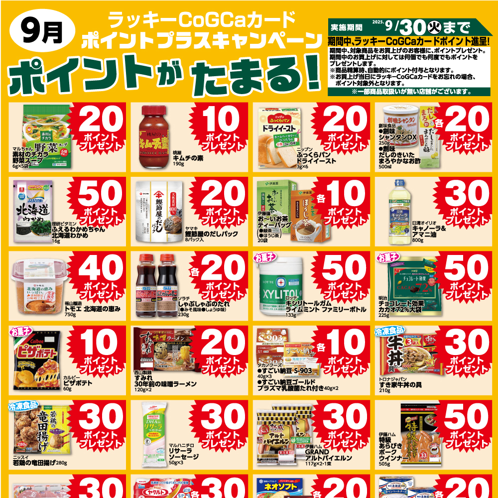 9月ポイントプラスキャンペーン